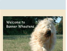 Tablet Screenshot of bannerwheatens.com